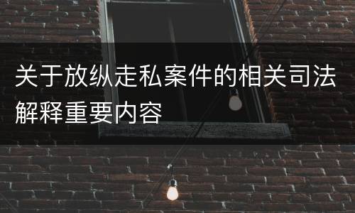 关于放纵走私案件的相关司法解释重要内容