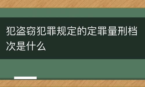 犯盗窃犯罪规定的定罪量刑档次是什么