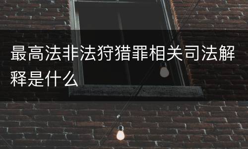 最高法非法狩猎罪相关司法解释是什么