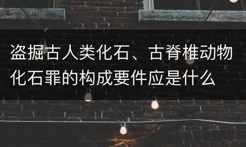 盗掘古人类化石、古脊椎动物化石罪的构成要件应是什么