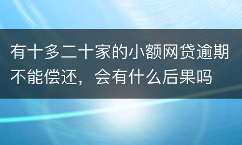 有十多二十家的小额网贷逾期不能偿还，会有什么后果吗