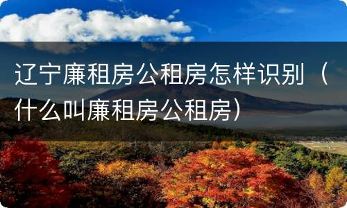 辽宁廉租房公租房怎样识别（什么叫廉租房公租房）