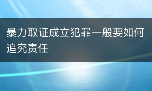 暴力取证成立犯罪一般要如何追究责任