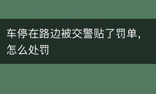 车停在路边被交警贴了罚单，怎么处罚