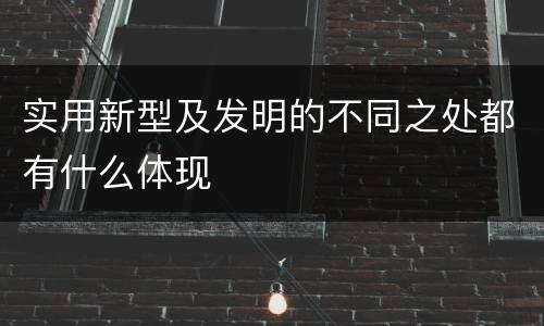 实用新型及发明的不同之处都有什么体现