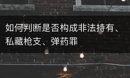 如何判断是否构成非法持有、私藏枪支、弹药罪