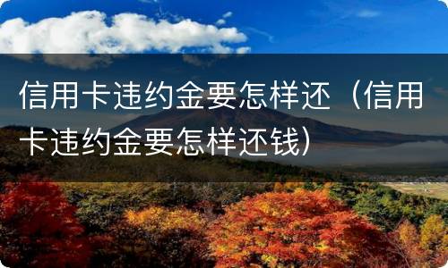 信用卡违约金要怎样还（信用卡违约金要怎样还钱）