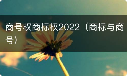 商号权商标权2022（商标与商号）