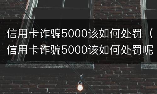 信用卡诈骗5000该如何处罚（信用卡诈骗5000该如何处罚呢）