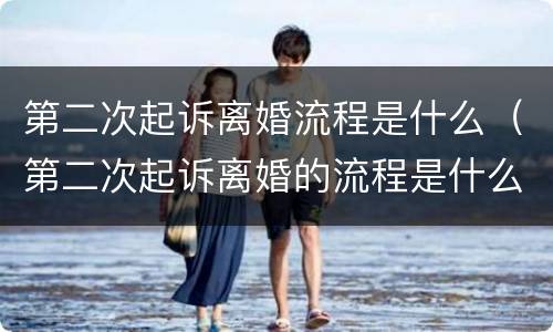 第二次起诉离婚流程是什么（第二次起诉离婚的流程是什么）