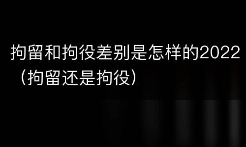 拘留和拘役差别是怎样的2022（拘留还是拘役）