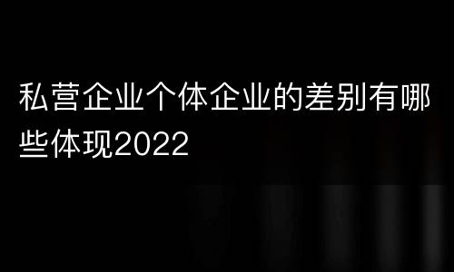 私营企业个体企业的差别有哪些体现2022