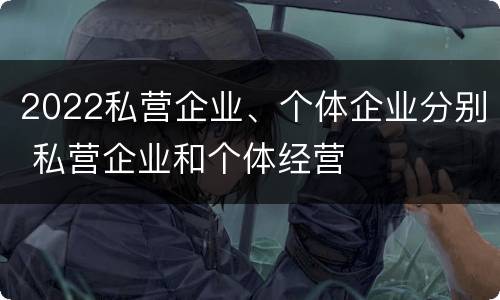 2022私营企业、个体企业分别 私营企业和个体经营