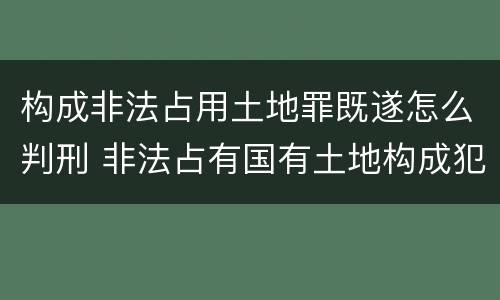 构成非法占用土地罪既遂怎么判刑 非法占有国有土地构成犯罪