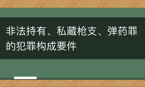 非法持有、私藏枪支、弹药罪的犯罪构成要件