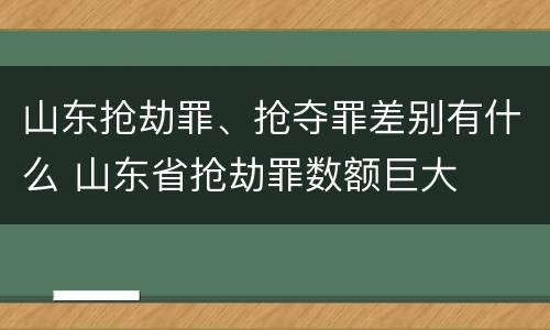 山东抢劫罪、抢夺罪差别有什么 山东省抢劫罪数额巨大