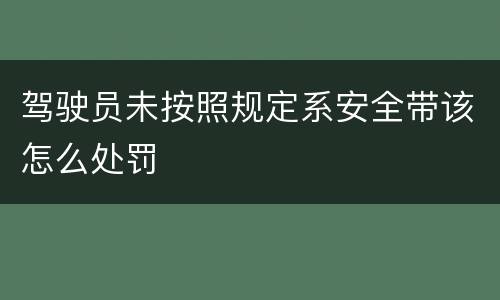 驾驶员未按照规定系安全带该怎么处罚