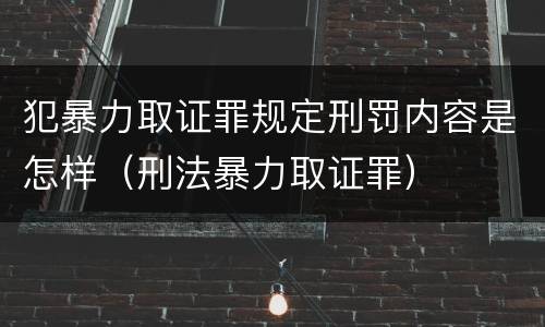 犯暴力取证罪规定刑罚内容是怎样（刑法暴力取证罪）