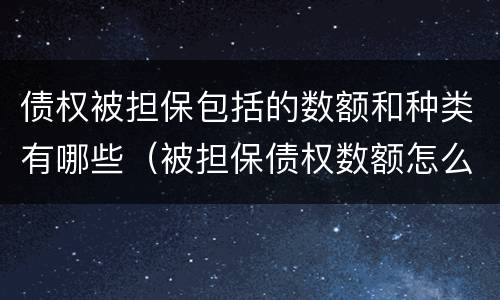 债权被担保包括的数额和种类有哪些（被担保债权数额怎么填）