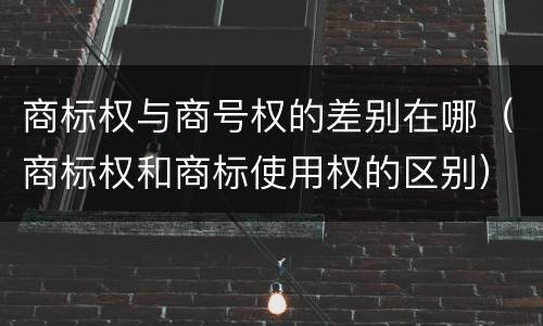 商标权与商号权的差别在哪（商标权和商标使用权的区别）