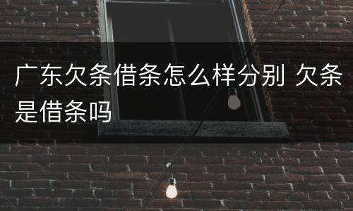 广东欠条借条怎么样分别 欠条是借条吗