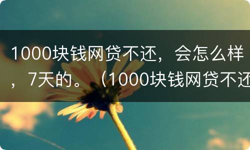 1000块钱网贷不还，会怎么样，7天的。（1000块钱网贷不还,会怎么样,7天的利息多少）