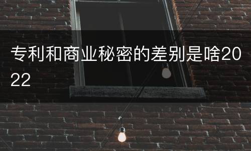 专利和商业秘密的差别是啥2022