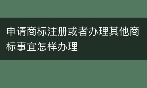 申请商标注册或者办理其他商标事宜怎样办理