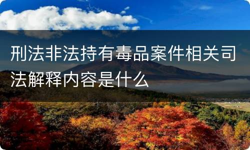 刑法非法持有毒品案件相关司法解释内容是什么