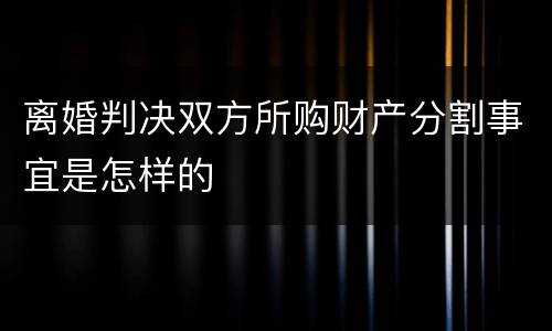 离婚判决双方所购财产分割事宜是怎样的