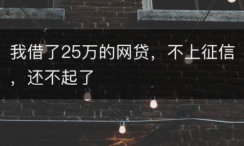 我借了25万的网贷，不上征信，还不起了