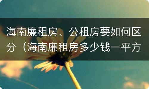 海南廉租房、公租房要如何区分（海南廉租房多少钱一平方）