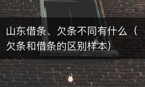 山东借条、欠条不同有什么（欠条和借条的区别样本）