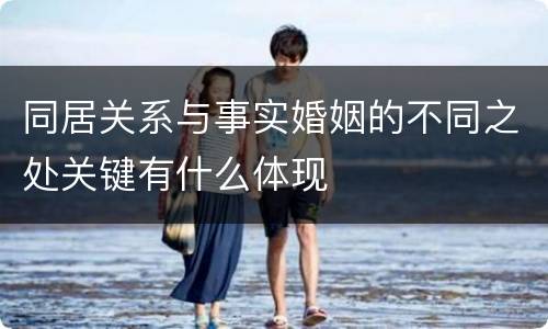 同居关系与事实婚姻的不同之处关键有什么体现