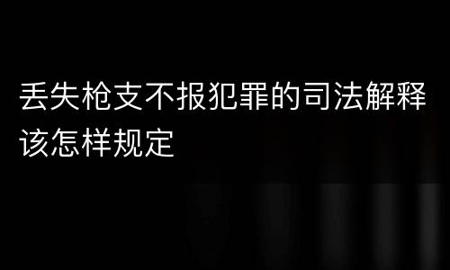 丢失枪支不报犯罪的司法解释该怎样规定