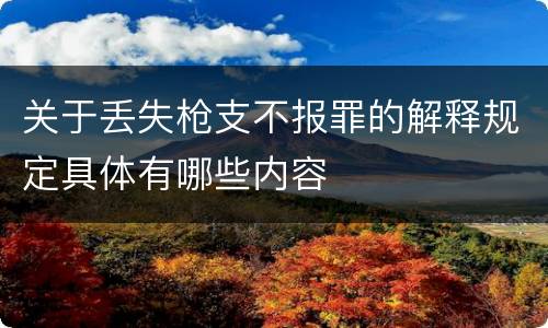 关于丢失枪支不报罪的解释规定具体有哪些内容