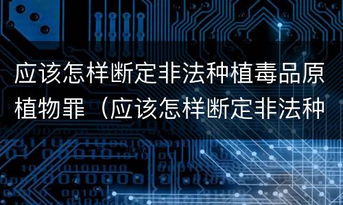 应该怎样断定非法种植毒品原植物罪（应该怎样断定非法种植毒品原植物罪名）