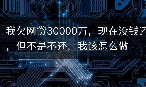 我欠网贷30000万，现在没钱还，但不是不还，我该怎么做