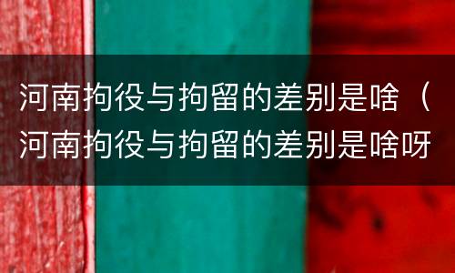 河南拘役与拘留的差别是啥（河南拘役与拘留的差别是啥呀）