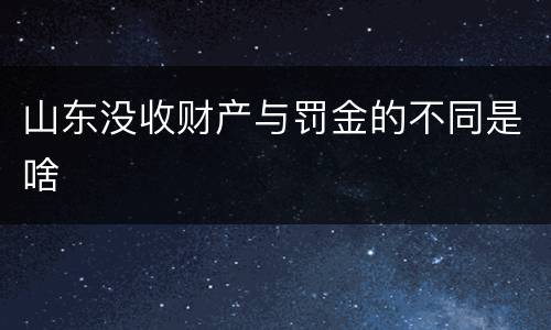 山东没收财产与罚金的不同是啥