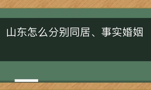 山东怎么分别同居、事实婚姻