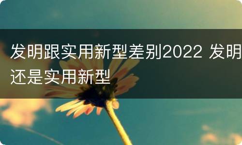 发明跟实用新型差别2022 发明还是实用新型