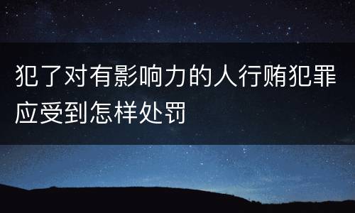 犯了对有影响力的人行贿犯罪应受到怎样处罚