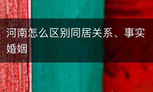 河南怎么区别同居关系、事实婚姻