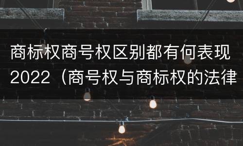 商标权商号权区别都有何表现2022（商号权与商标权的法律冲突与解决）