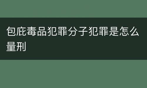 包庇毒品犯罪分子犯罪是怎么量刑