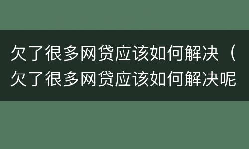 欠了很多网贷应该如何解决（欠了很多网贷应该如何解决呢）