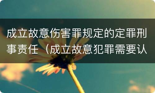 成立故意伤害罪规定的定罪刑事责任（成立故意犯罪需要认识到哪些客观事实）