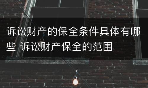 诉讼财产的保全条件具体有哪些 诉讼财产保全的范围