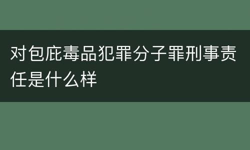 对包庇毒品犯罪分子罪刑事责任是什么样